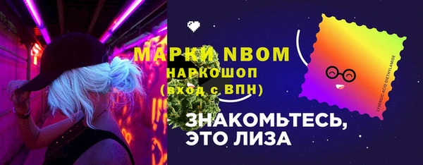 индика Вязьма