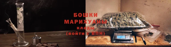 гашик Анива