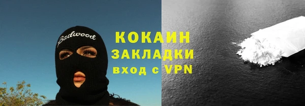 PSILOCYBIN Белая Холуница