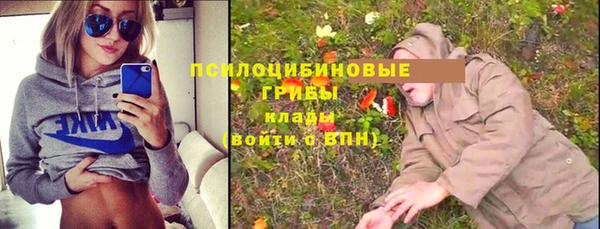 амф Анжеро-Судженск