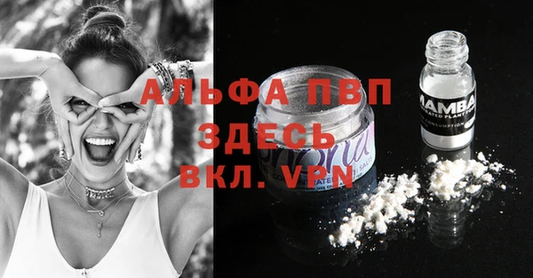 гашик Анива