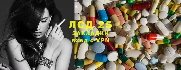 PSILOCYBIN Белая Холуница