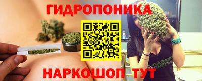ПСИЛОЦИБИНОВЫЕ ГРИБЫ Беслан