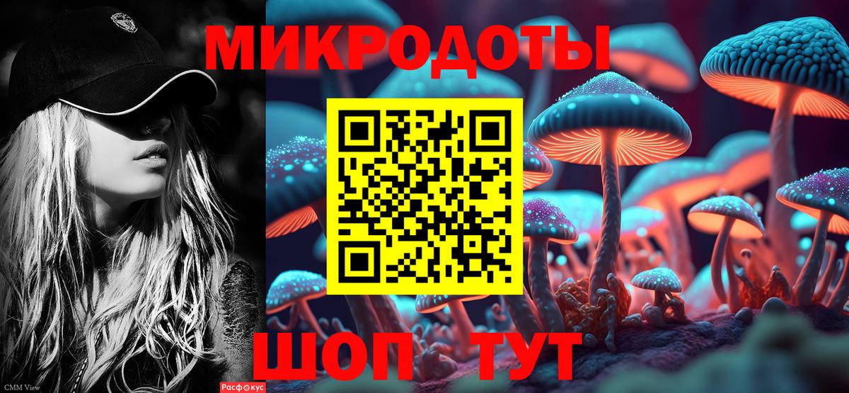 Псилоцибиновые грибы Psilocybine cubensis Звенигород