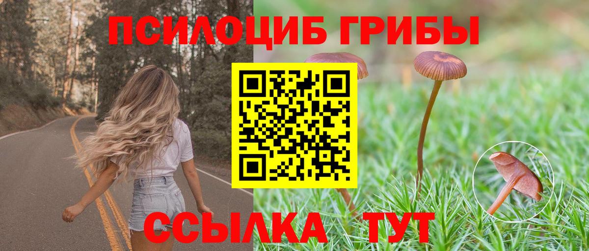 Галлюциногенные грибы мицелий  Звенигород  Галлюциногенные грибы GOLDEN TEACHER 