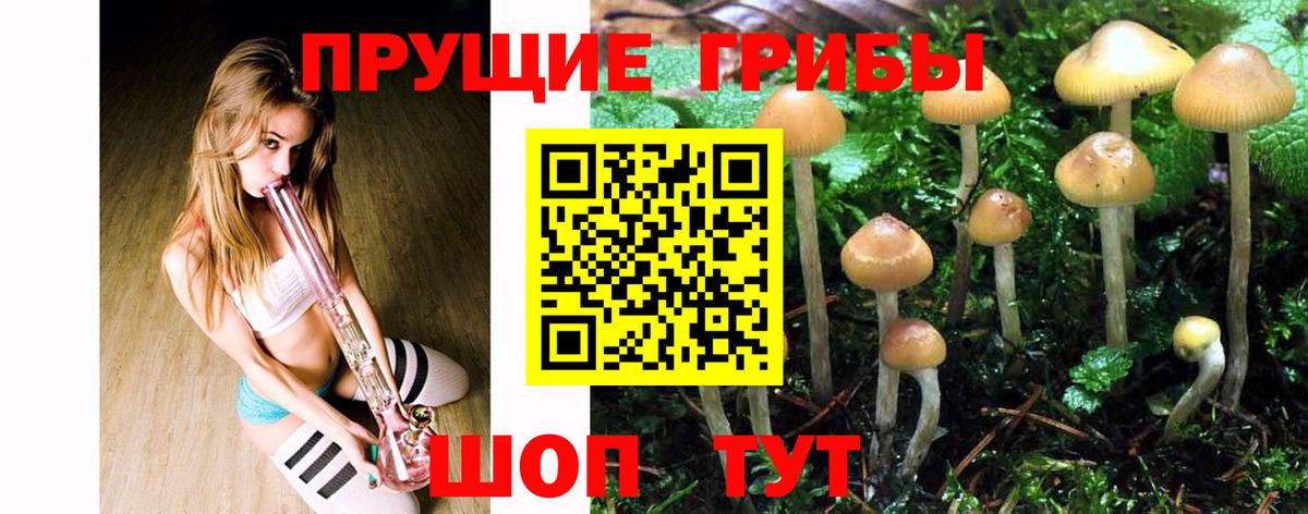 Псилоцибиновые грибы Cubensis  Псилоцибиновые грибы Psilocybine cubensis  Звенигород  Вход с VPN 
